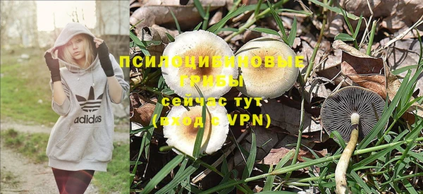 МДПВ Володарск