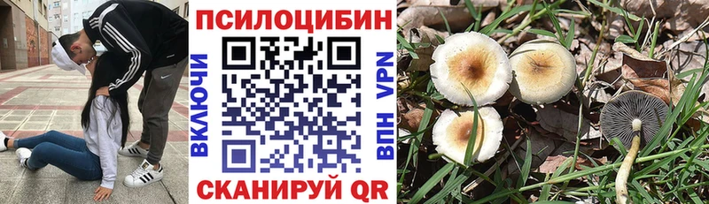 Галлюциногенные грибы Magic Shrooms Шелехов